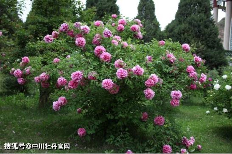 宁夏投资公司的成本解析
