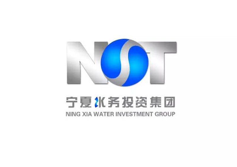 宁夏实业公司的新兴趋势解读