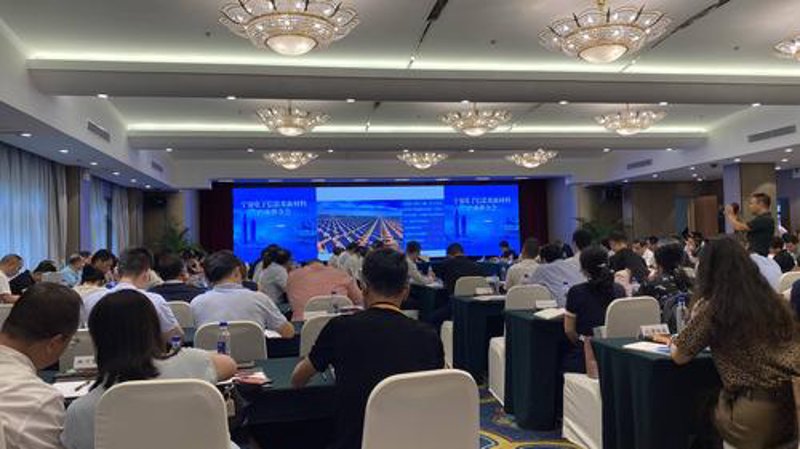 宁夏实业公司的优势与选择